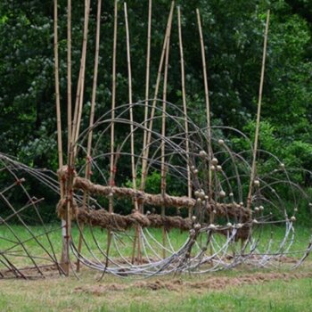 Longen van Hoop LvdH-2