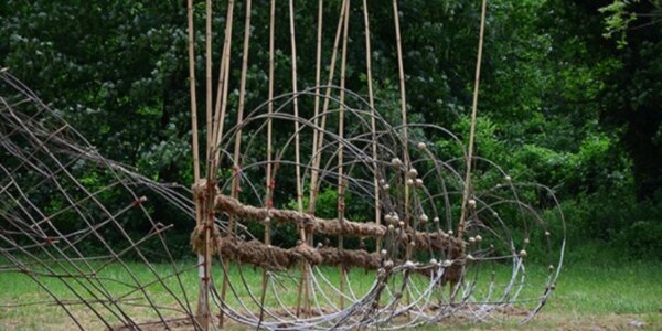 Longen van Hoop LvdH-2