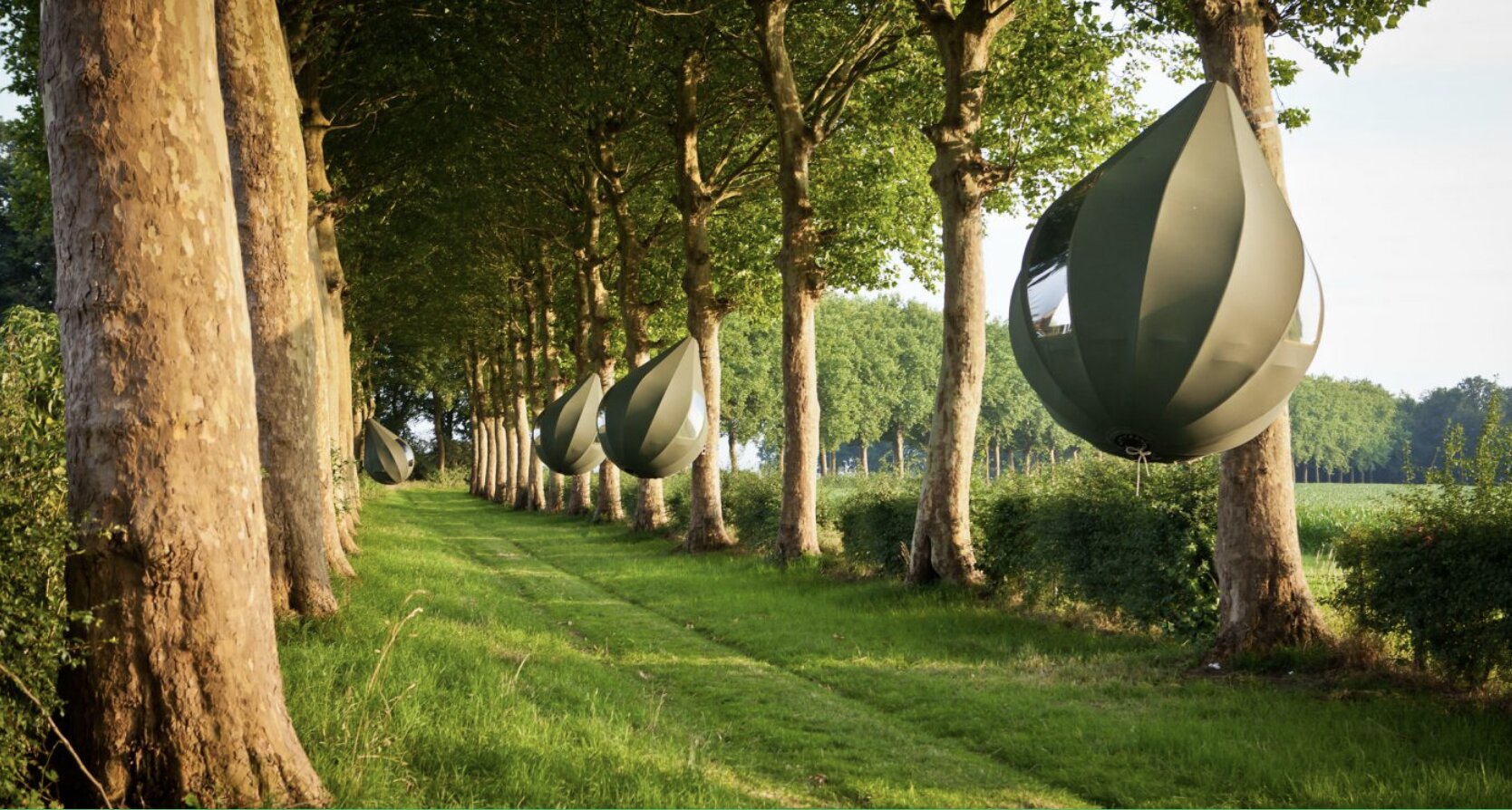 Wapenaar - Tranendreef