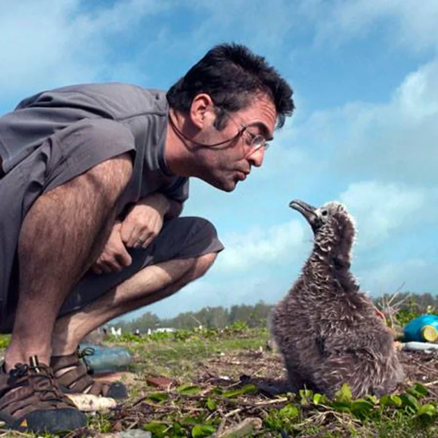 Chris Jordan plus albatross