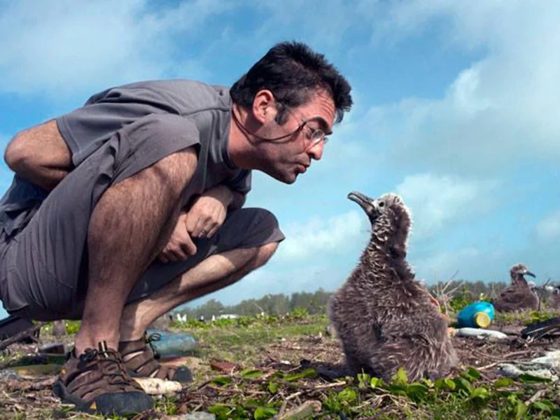 Chris Jordan plus albatross