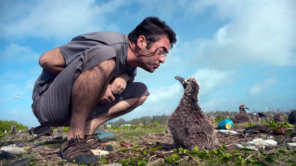 Chris Jordan plus albatross